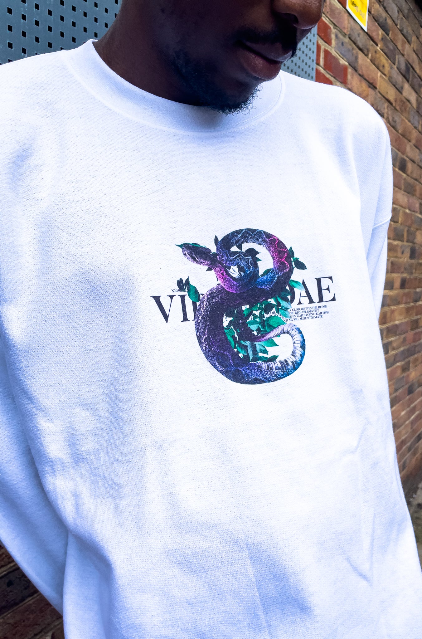 New VIPERIDAE Jumper Front and Back design. AW21 Collection - STiTCH.LDN